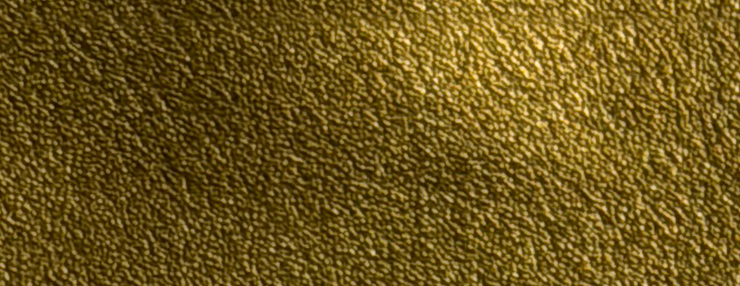 B026 Nappa grain