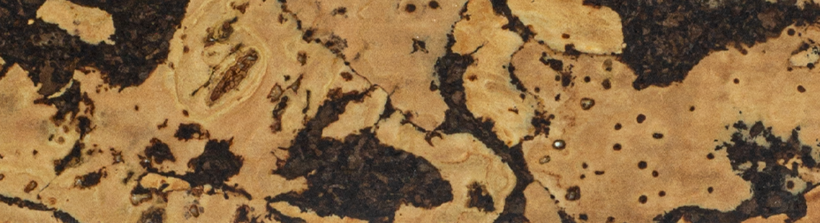 S021 Bark pattern