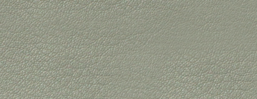 GRS03 Pebbled grain